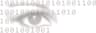 Vision Research Lab logo